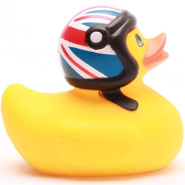 Duck with motorcycle helmet