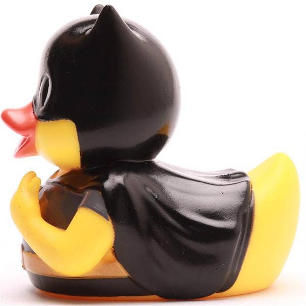 Duck Superhero Shadow