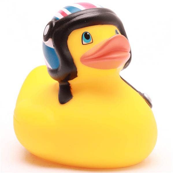 Duck with motorcycle helmet