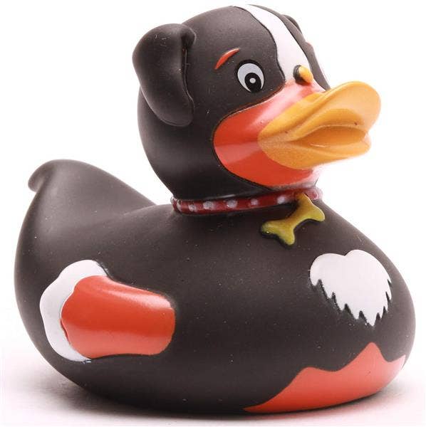 Duck Dog