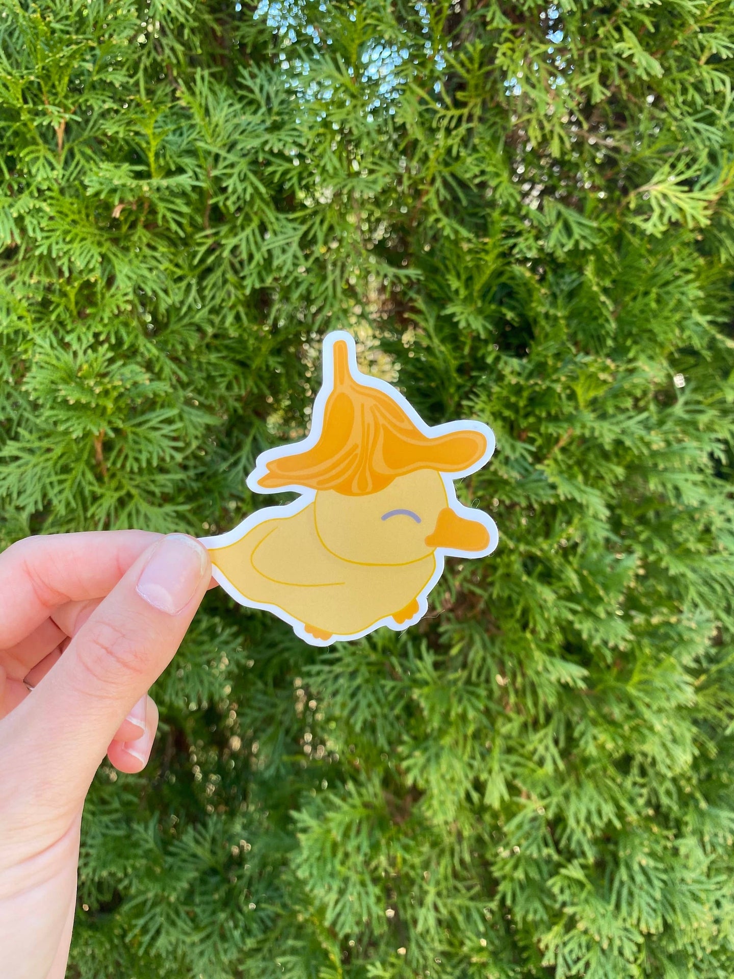 Canard avec chapeau à fleurs