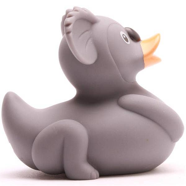 Duck koala