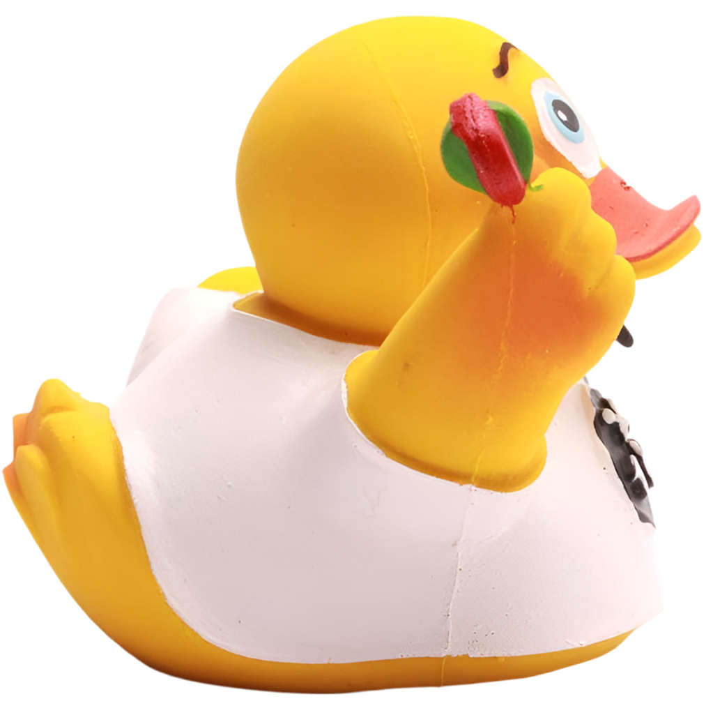 Canard Champion de Fléchettes