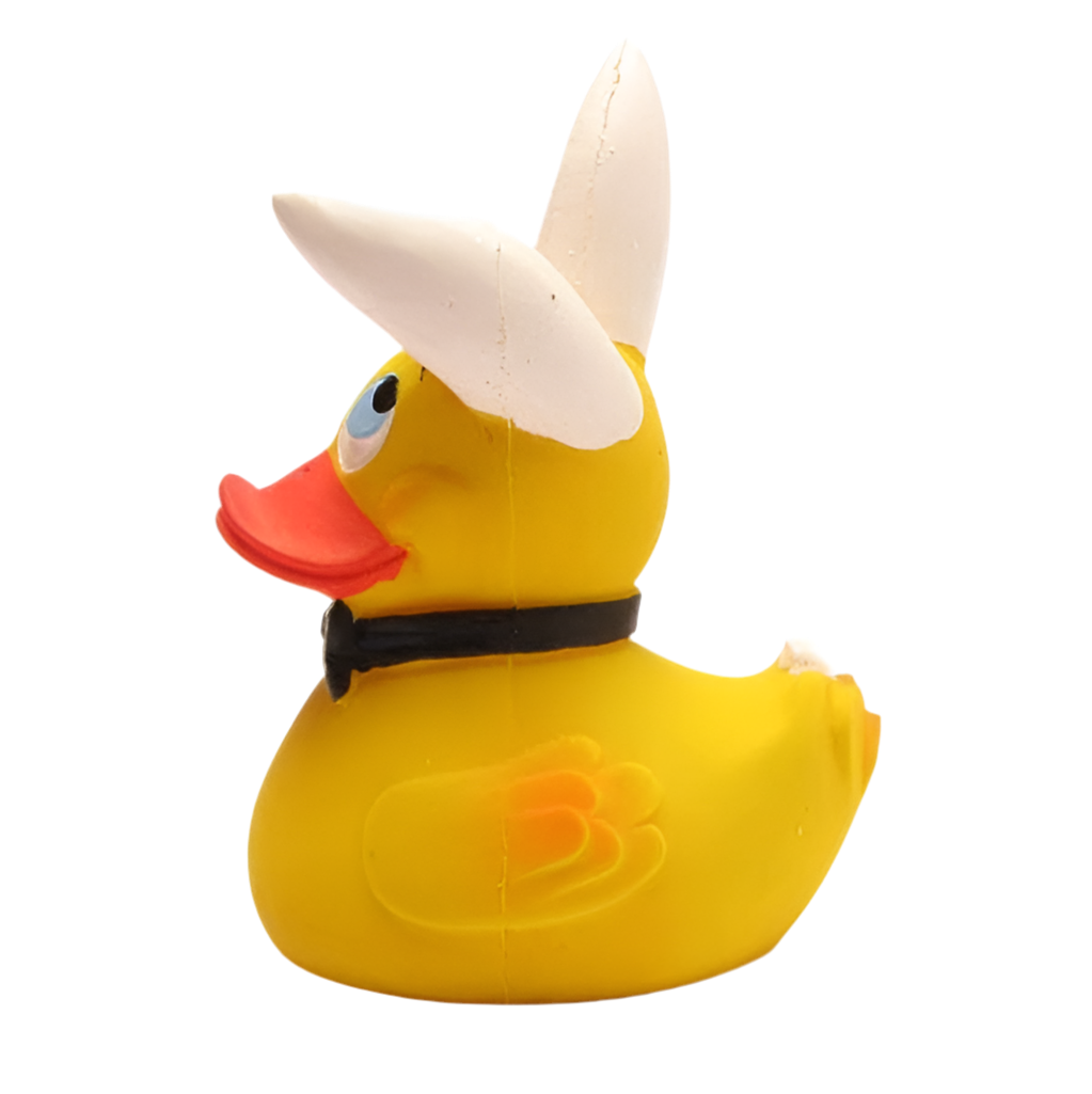 Canard Bunny