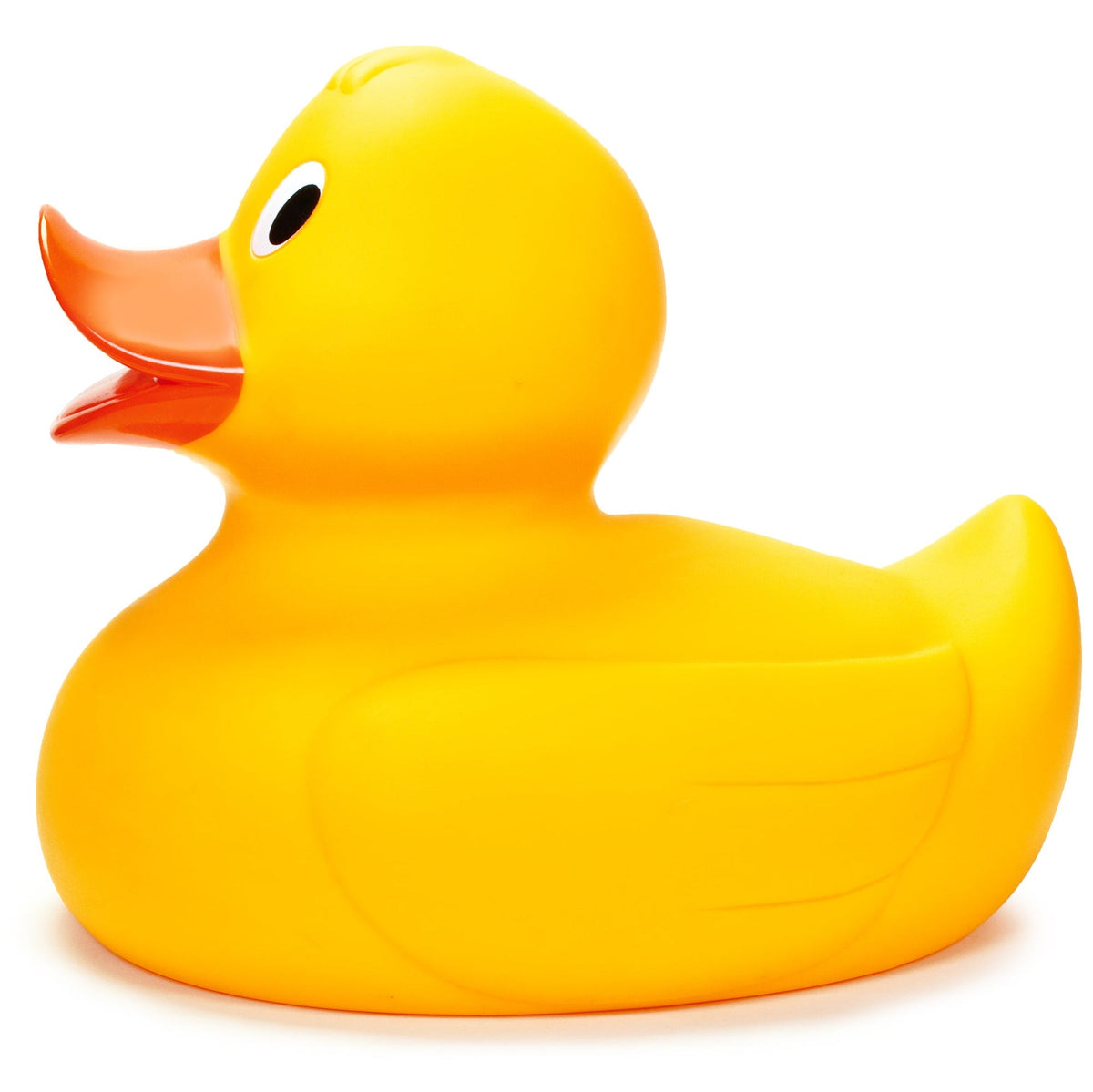 CANARD GÉANT