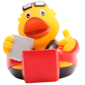 canard livreur de pizzas m e s