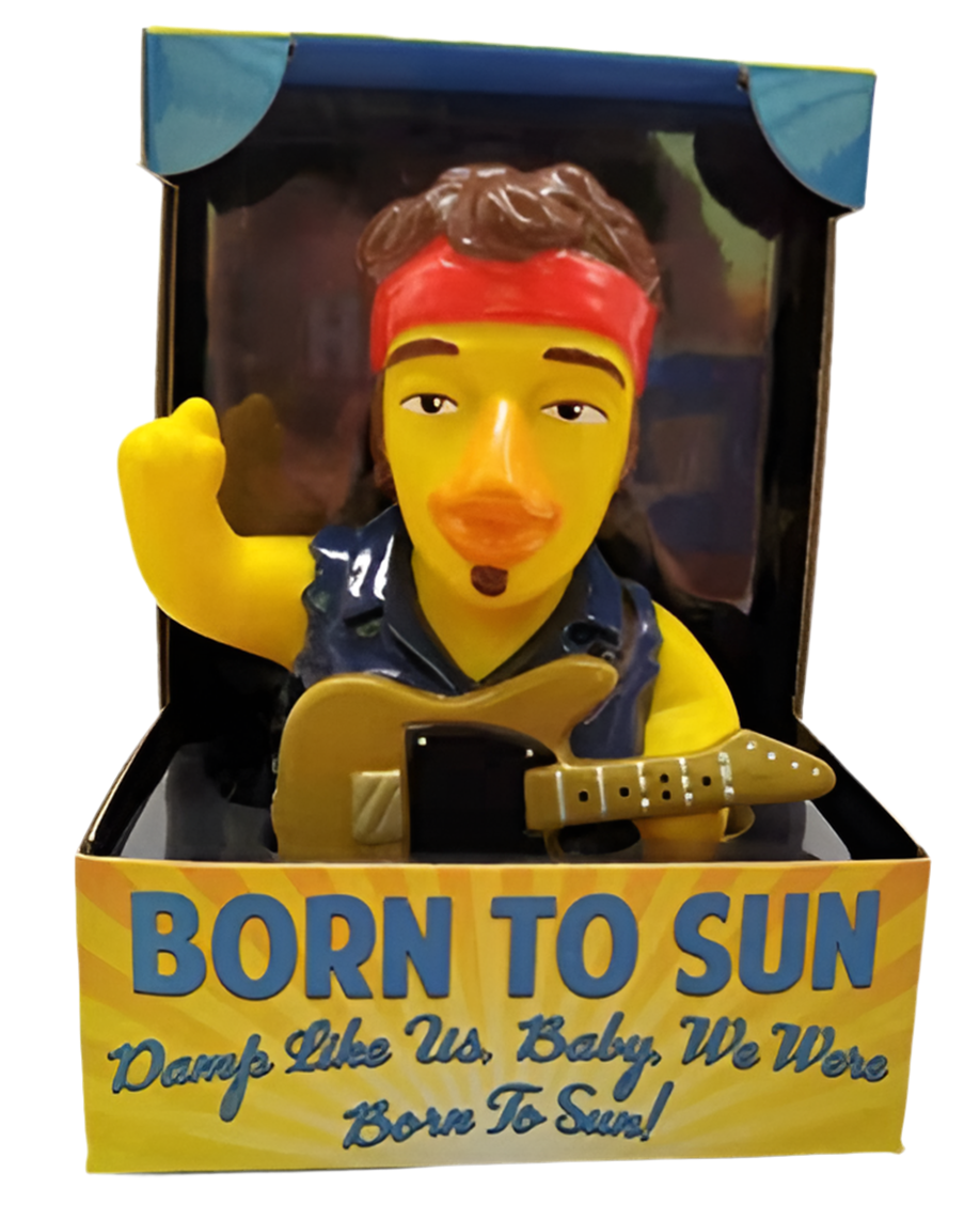 Canard Born to Sun