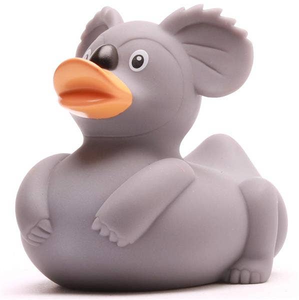 Duck koala