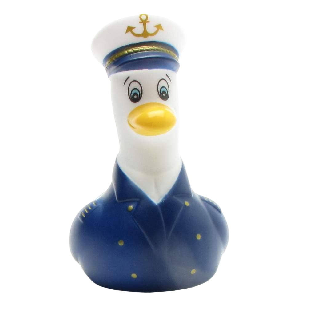 Mouette Capitaine