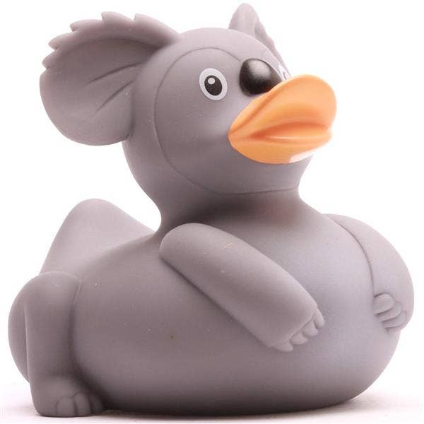 Duck koala