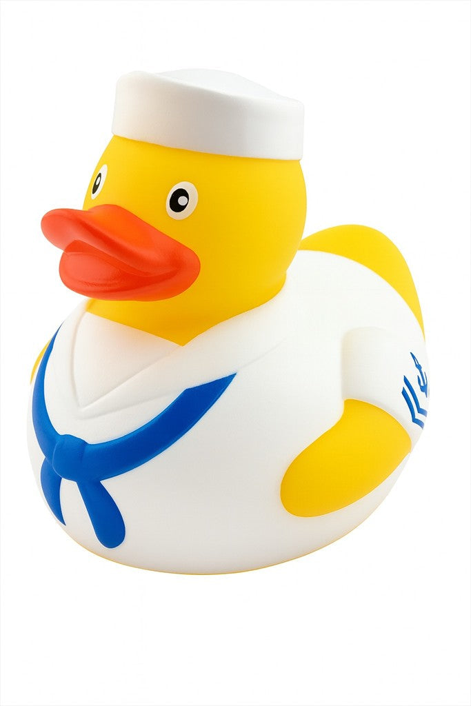 American Sea Duck