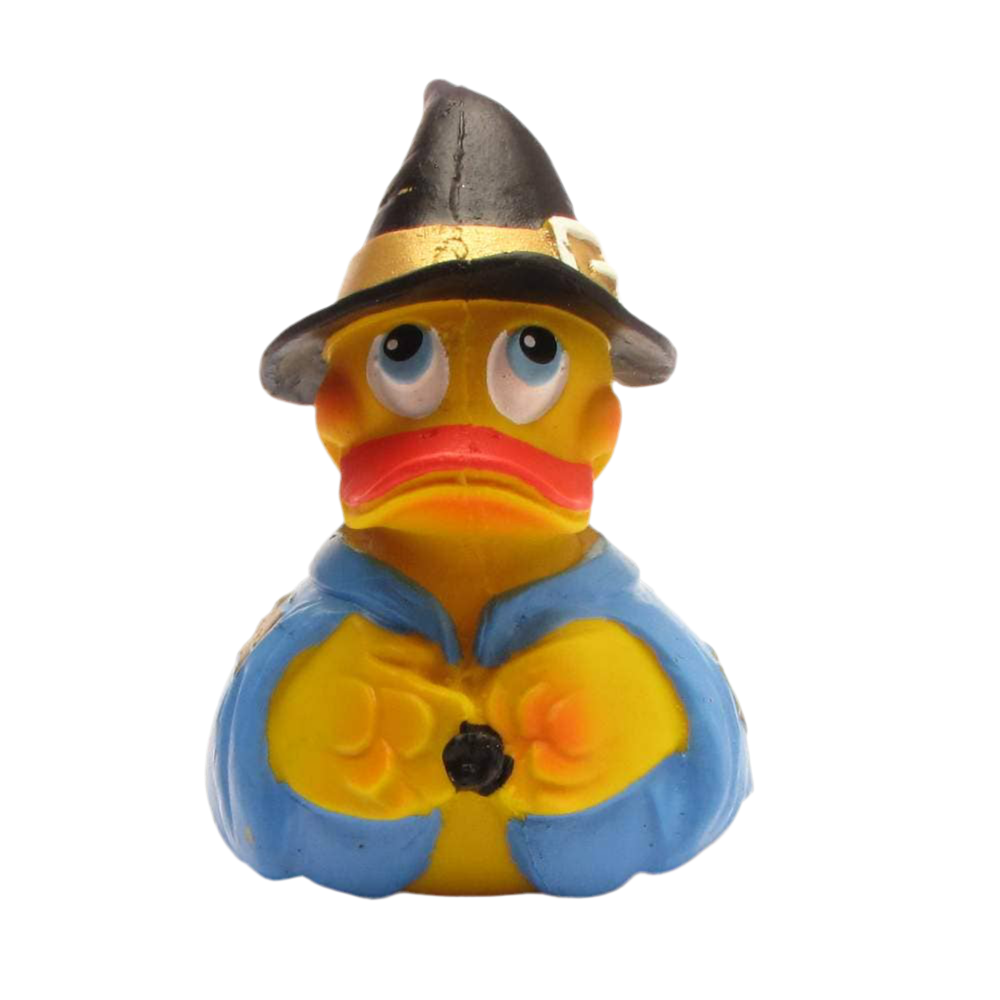 Canard Sorcière