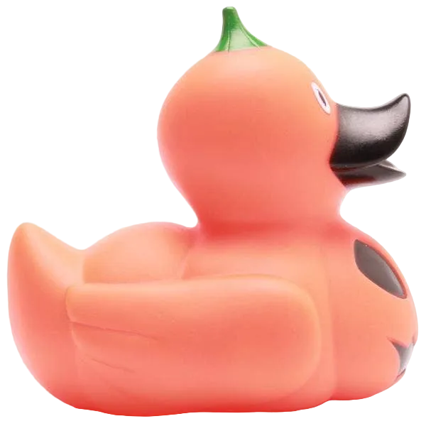 Anatra Zucca di Halloween