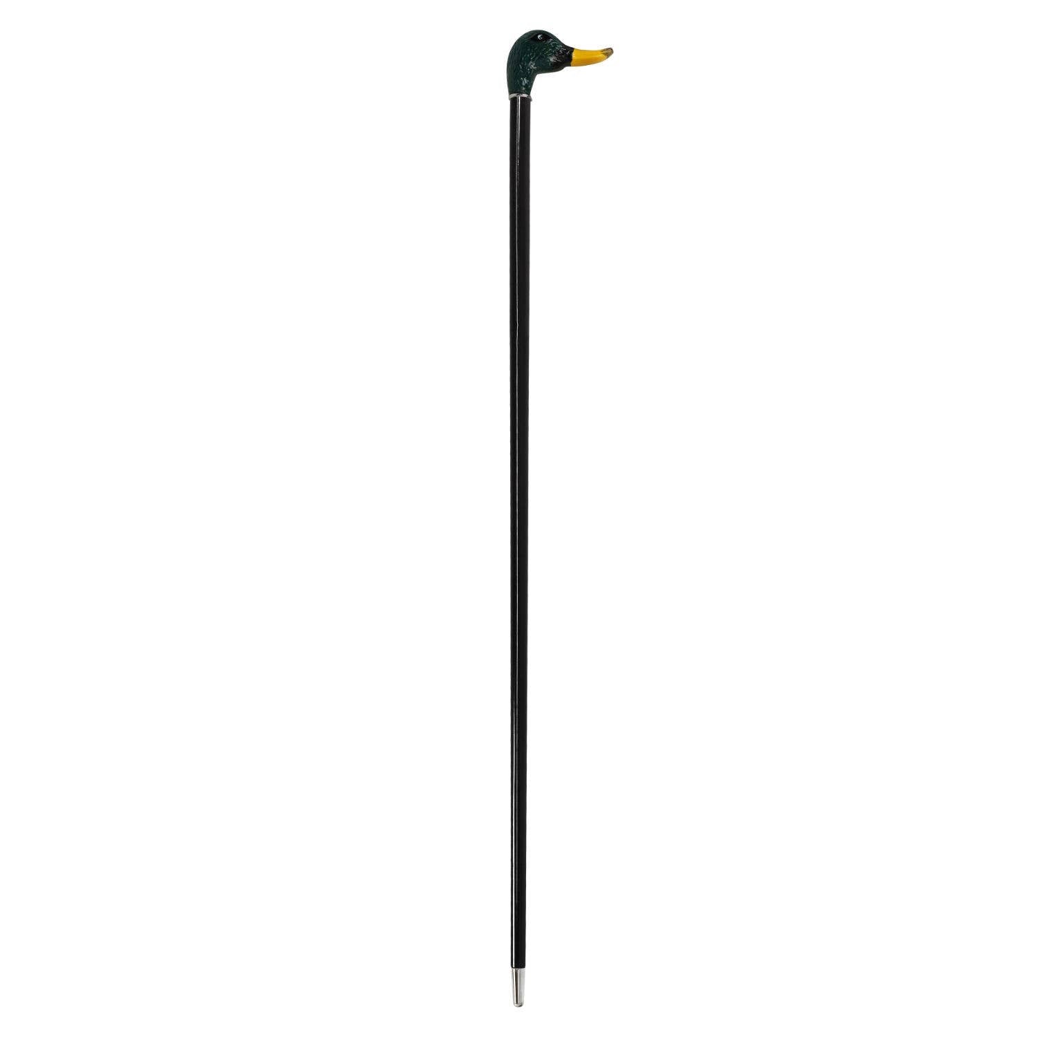 Duck Mallard