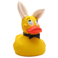 Duck Bunny