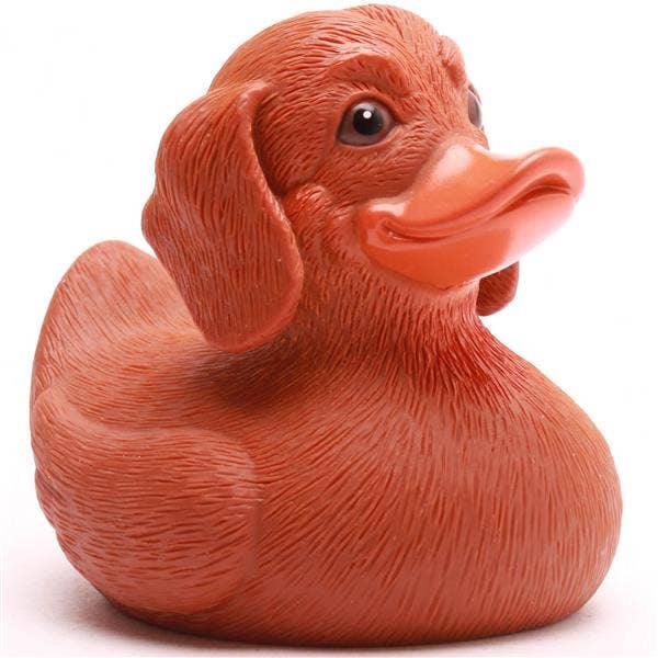 Duck Dachshund
