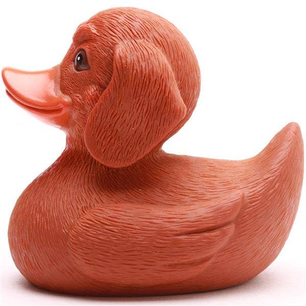 Duck Dachshund