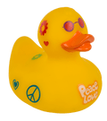 Canard Hippie – vue 4