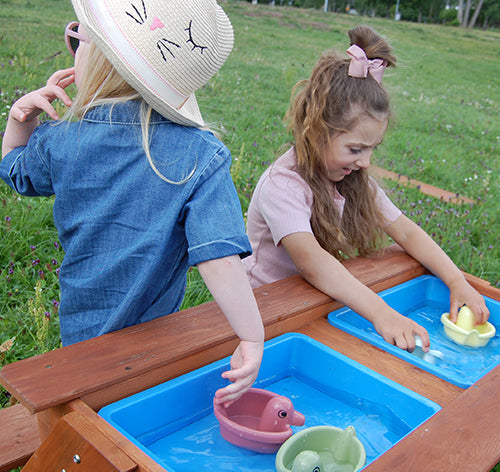 Ecoline Barche Anatre