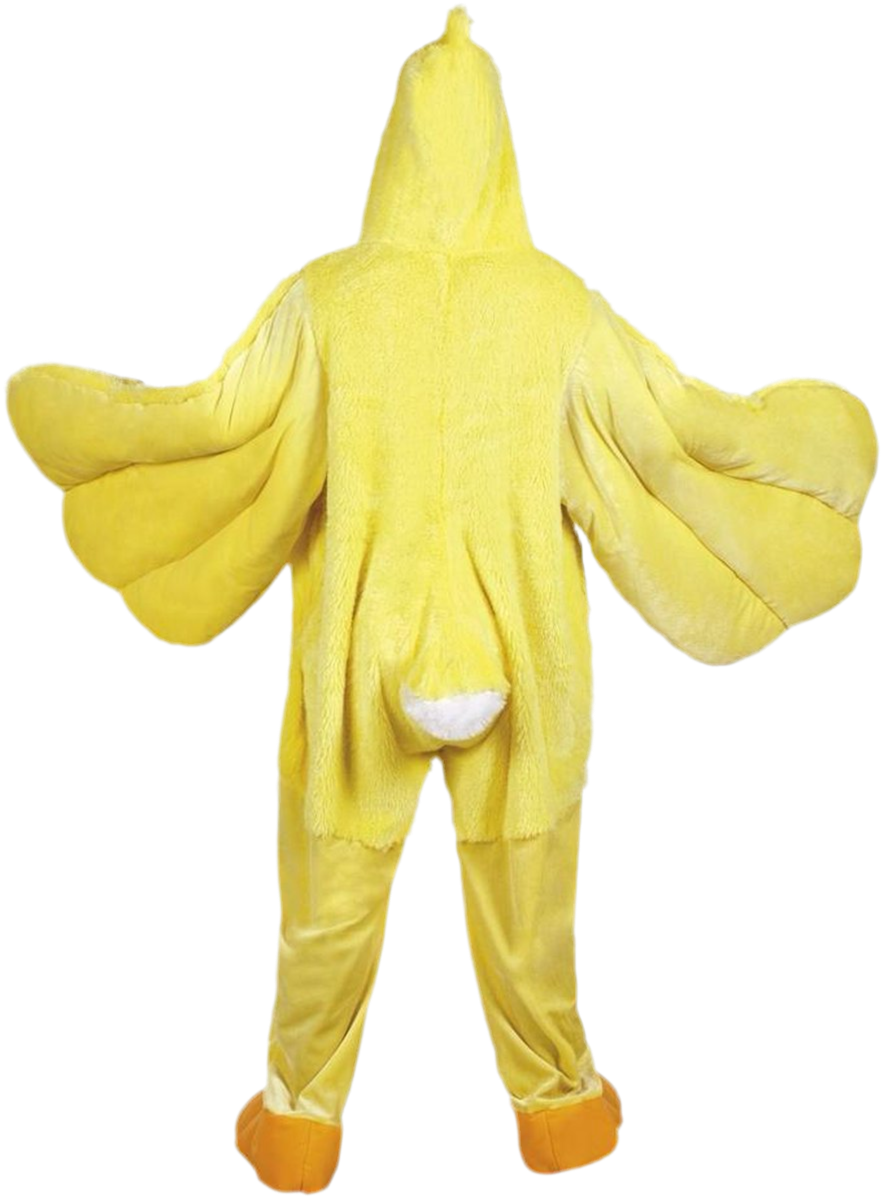 Duck Costume 