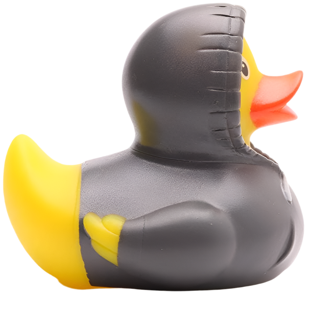 Canard Sweat à Capuche - Gris