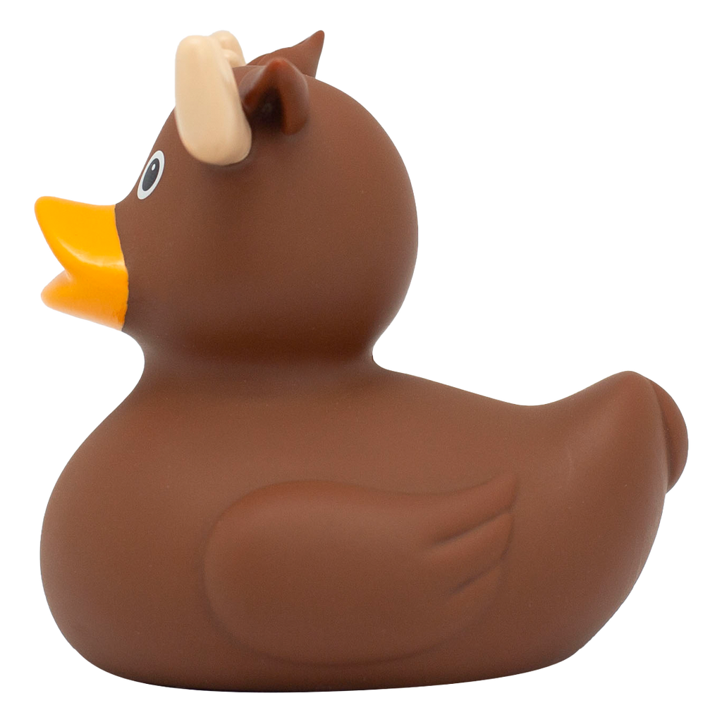 Canard Élan
