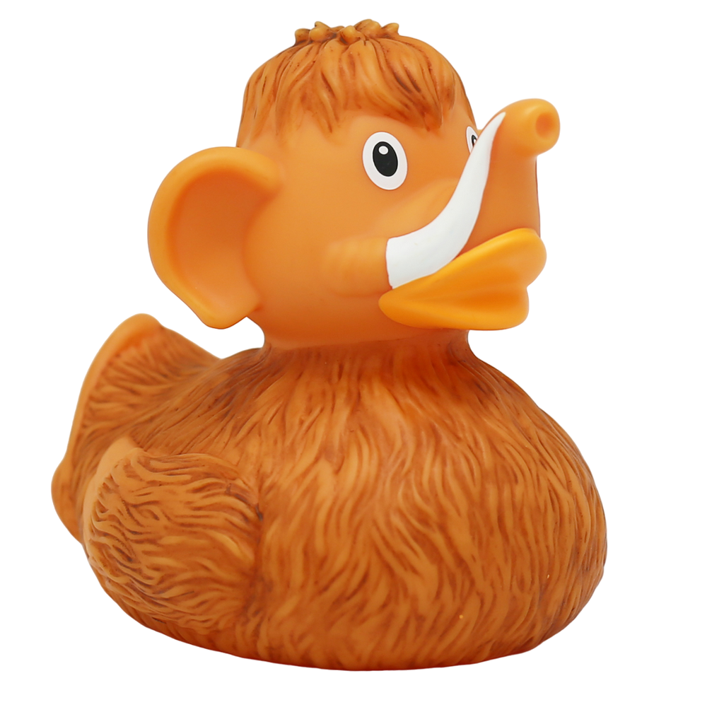 Canard Mammouth