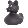 Black Mouse Duck