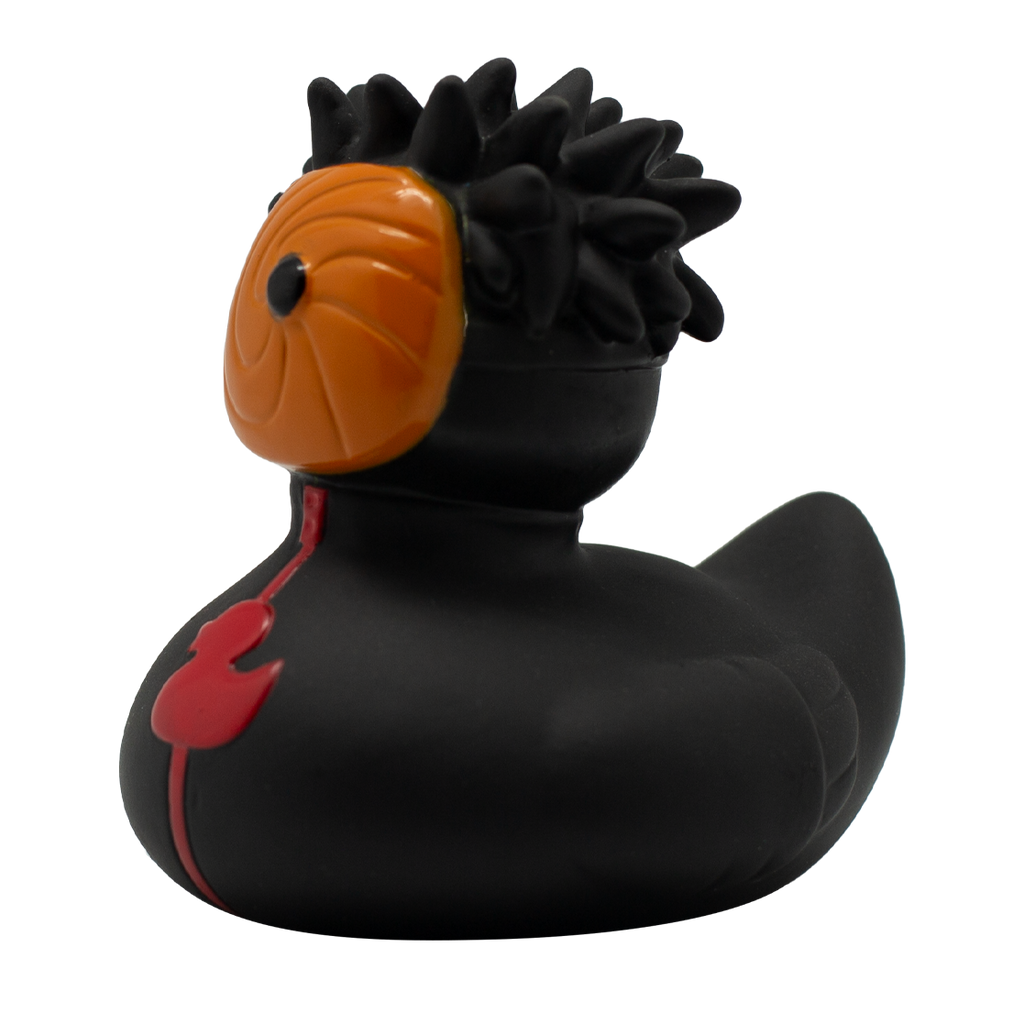 Black Warrior Duck