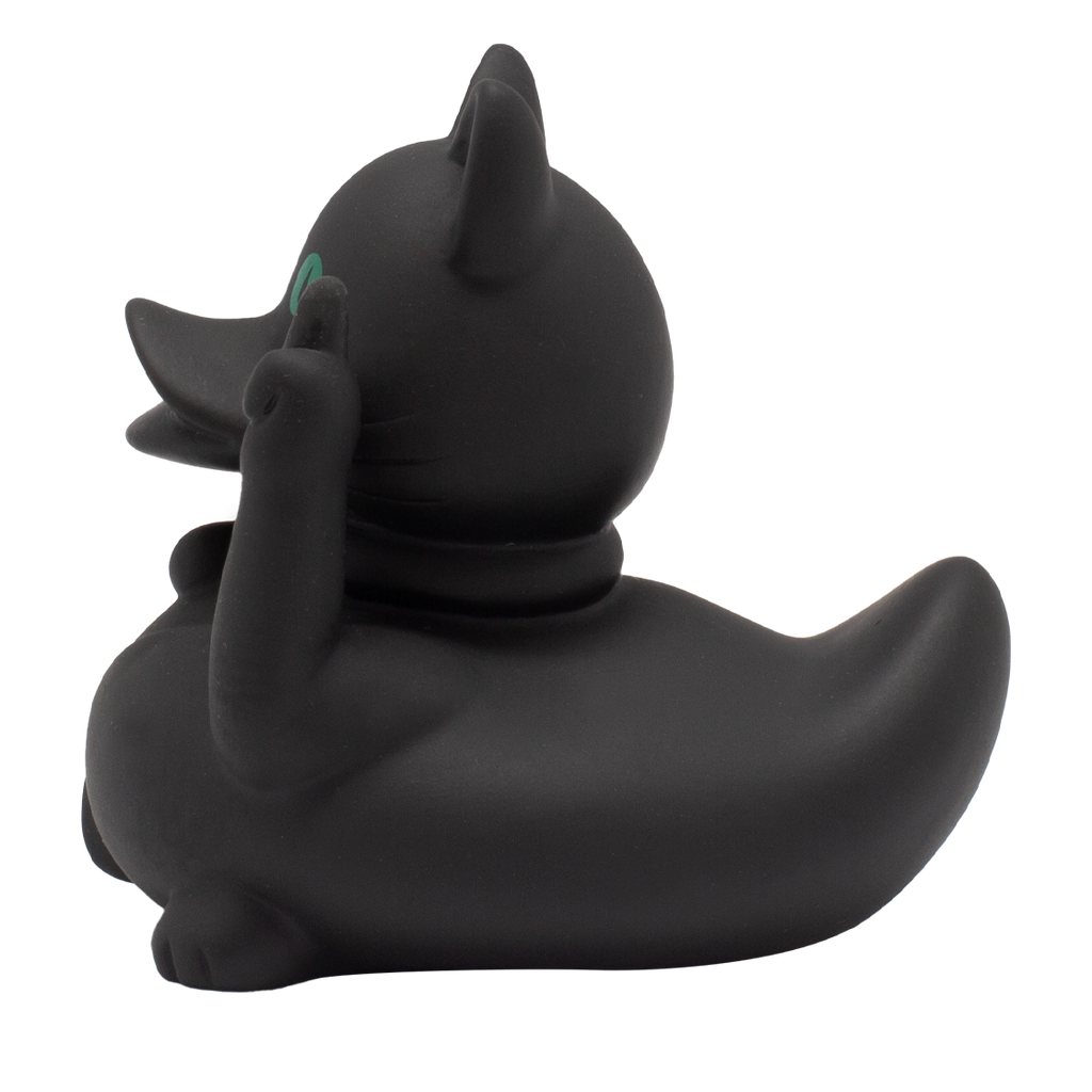 Canard Crazy Cat Noir