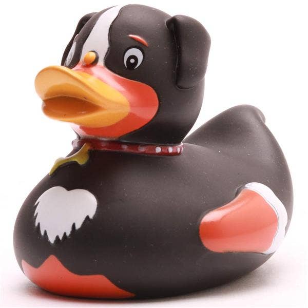 Duck Dog