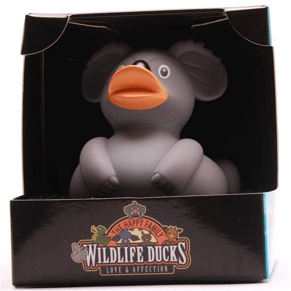Duck koala