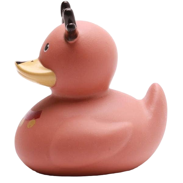 Canard Renne