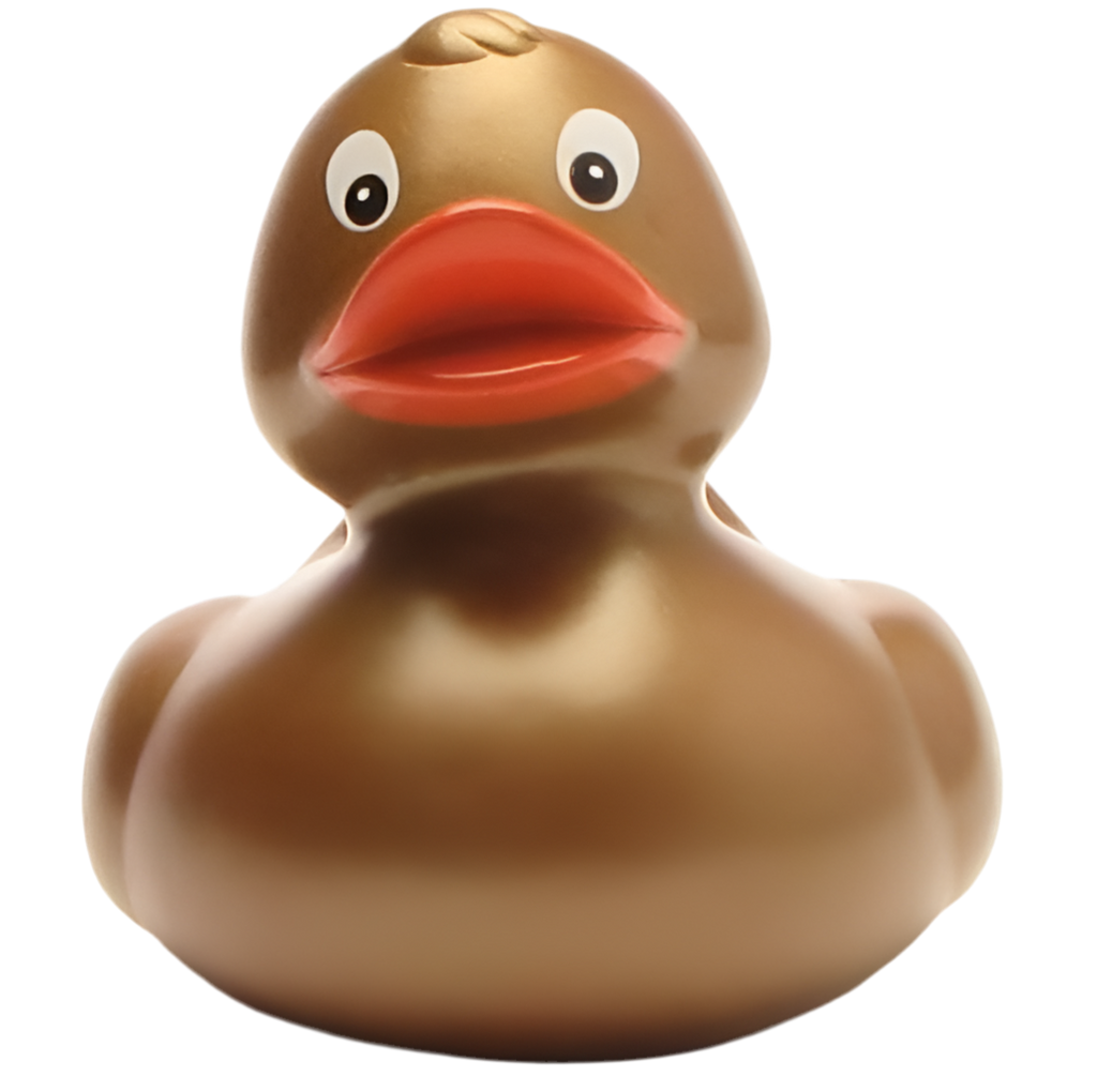 canard classique dore 1