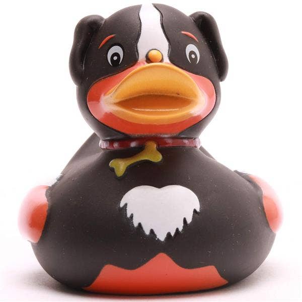 Duck Dog