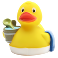 canard sauna factotum