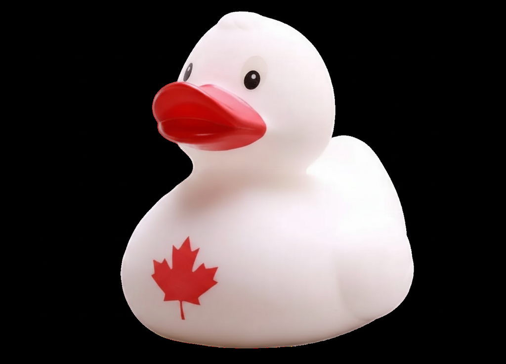 Canard Canada