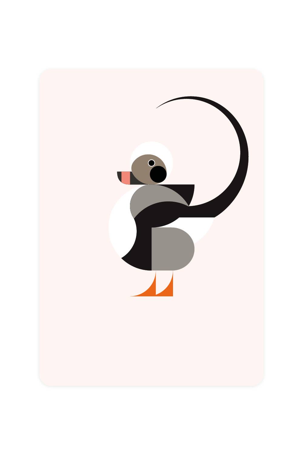 Carte postale avec canard à longue queue