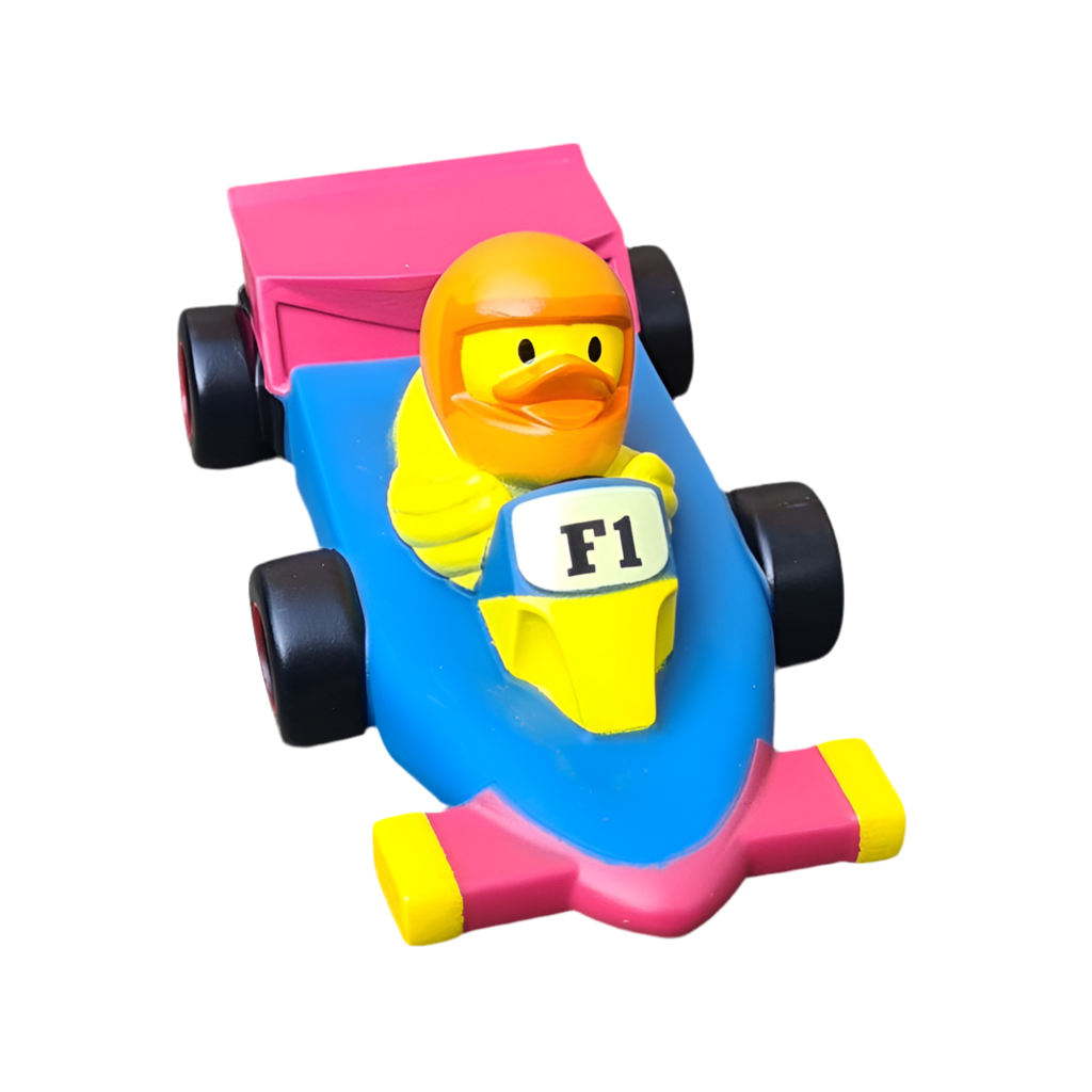 Canard Voiture de course F1