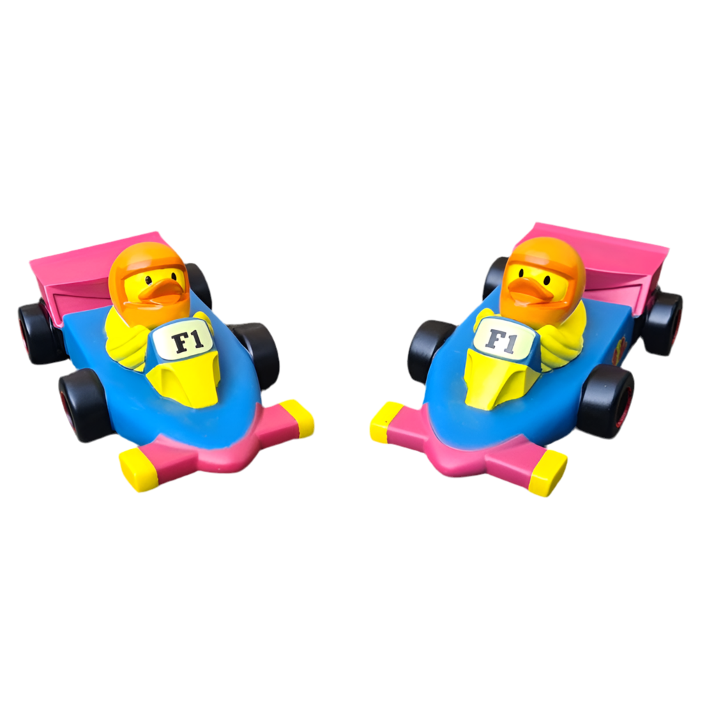 Canard Voiture de course F1