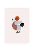 Carte postale avec Wigeon
