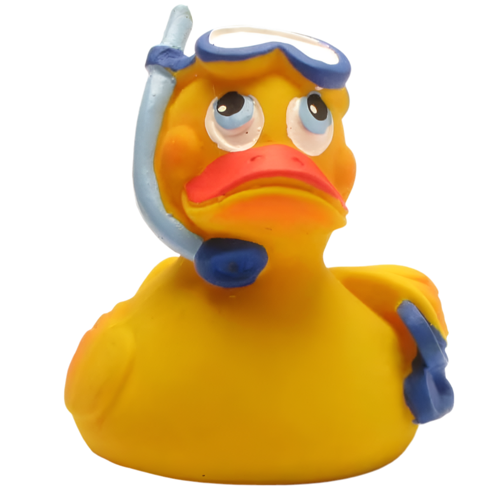 Canard Plongeur avec tuba