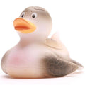 Turtle duck