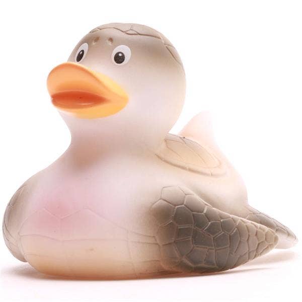 Turtle duck