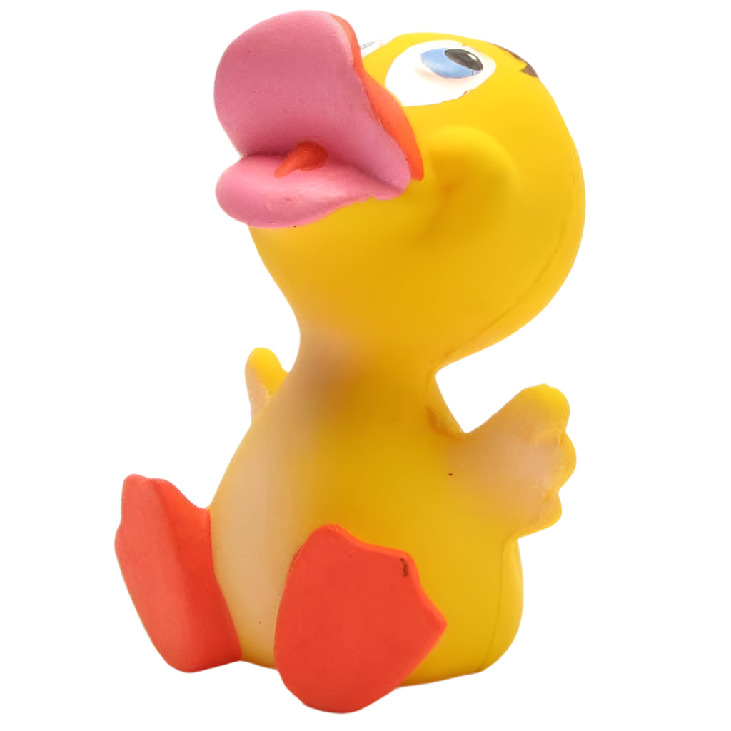 Canard Bébé