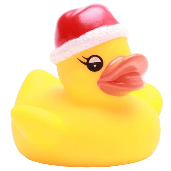 Petit Canard de Noël