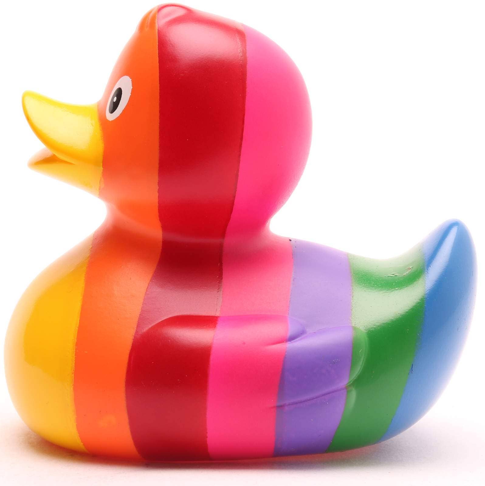 Canard Arc-en-ciel