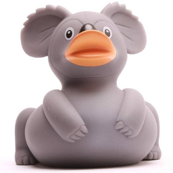 Duck koala