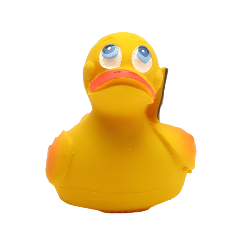 Duck Germany