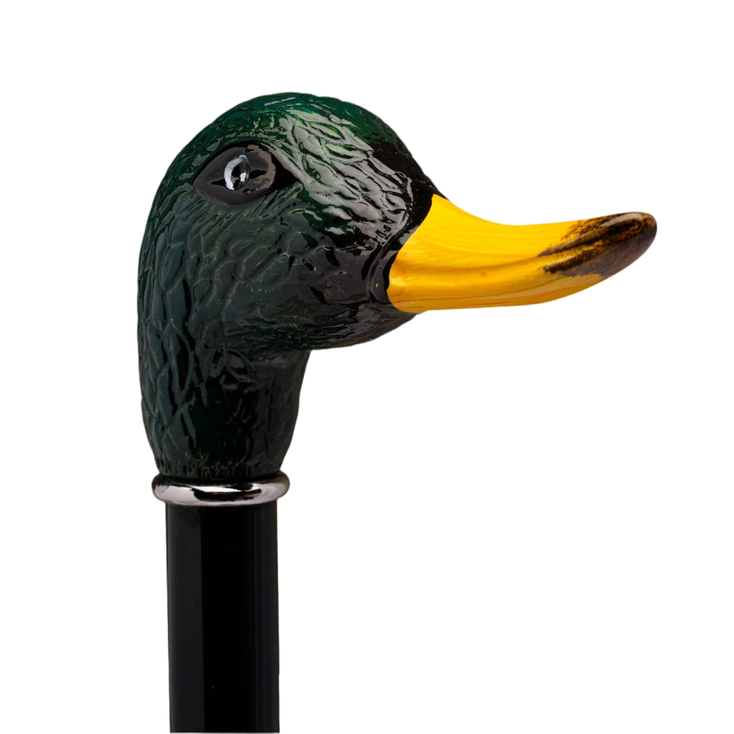Duck Mallard